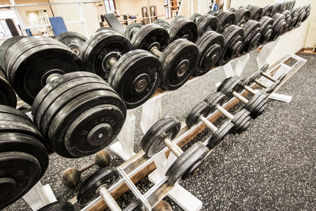 View of rows of dumbbells on a rack in a gymの写真素材