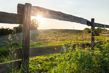 Field and Fence in Late Afternoon Sunの写真素材