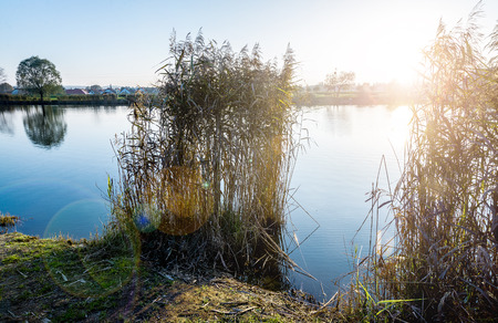 Beautiful sunset over the lake.の写真素材