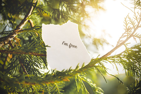 "I'm free" text in a pine tree in vintage colors.の写真素材