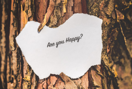"Are you happy?" text in a pine tree in vintage colors.の写真素材