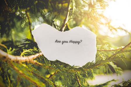 "Are you happy?" text in a pine tree in vintage colors.の写真素材