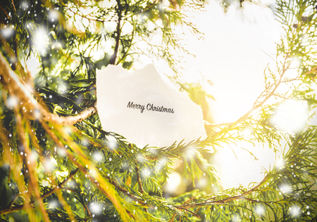 "Merry Christmas" text in a pine tree in vintage colors.の写真素材