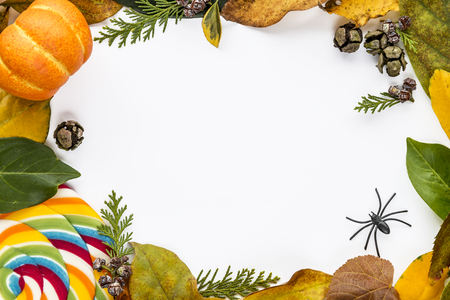 Autumn, Halloween background with leaves and pumpkins. Holiday concept with copy space.の写真素材