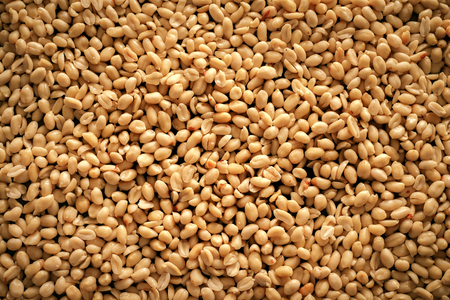 Close up of fried, peeled and salted peanuts top viewの写真素材