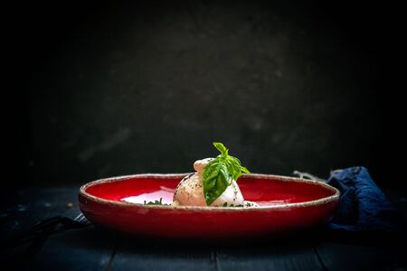 Burata cheese with dried tomatoes, artichokes, arugula and Basil on a red plate. A dish of Italian...