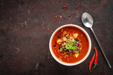 Italian tomato cream soup with meat, potatoes and green leaves in a white bowl on a rusty steel backgroundの写真素材
