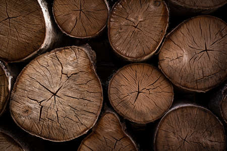 Natural round sawn wood birch logs, lumber textureの写真素材