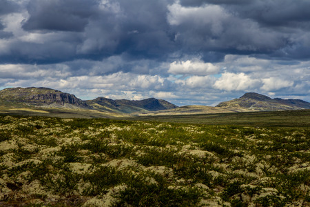 National park Rondane in the middle of Norway  during a summer dayの写真素材