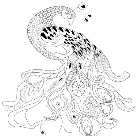 Sketch peacock single line coloring for decorative design. vector template. Isolated outline drawing. bird illustration. vector line illustration. contour drawing. tropical illustration.のイラスト素材