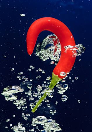Chilli pepper falling in water on blue with air bubblesの写真素材