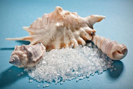 Three sea shells with dead sea salt on blueの写真素材