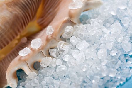 Sea shell with dead sea salt on blueの写真素材