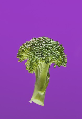 Green broccoli on violet background in waterの写真素材