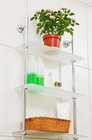 Bathroom shelf with plant in flowerpot and decorの写真素材