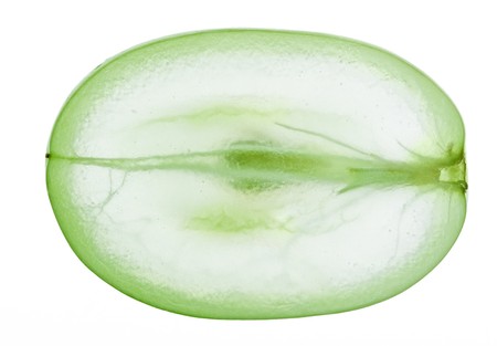 Translucent slice of green grape fruit, macro isolated on whiteの写真素材