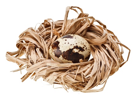 One quail eggs in the straw nest, isolated on whiteの写真素材
