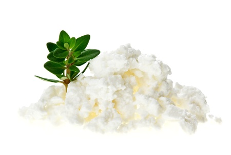 Cottage cheese (curd) heap with thyme twig, isolated on whiteの写真素材