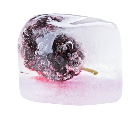 One black mulberry fruit inside of melting ice cube, isolated on whiteの写真素材
