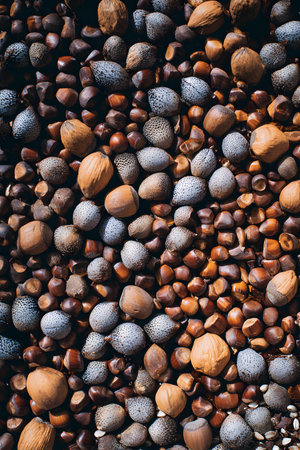 Nuts background. Top view of nuts and hazelnuts.の素材