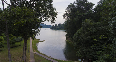 A lovely lake surrounded by lush trees and other greenery.の写真素材
