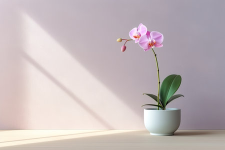0449. Orchid in front of light pastel wall. Generative AIの素材