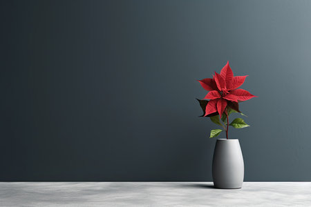 0478. Poinsettia in front of dark wall. Generative AIの素材