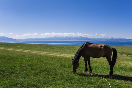 Sailimu Lake, Xinjiangの写真素材
