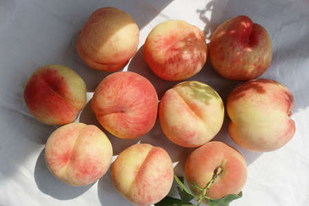 Fresh sweet ripe peaches as backgroundの写真素材