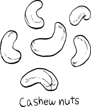 Vector illustration of six cashews drawn in black and white lines.のイラスト素材