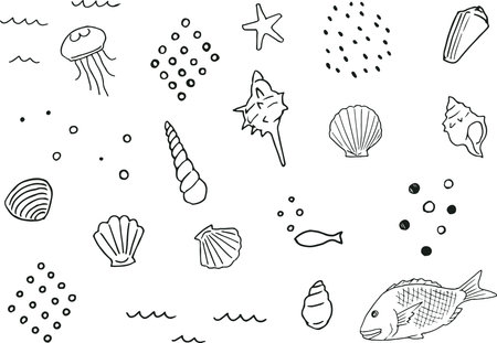 Hand drawn pen drawing illustration set of shells and the sea.(black and white)のイラスト素材