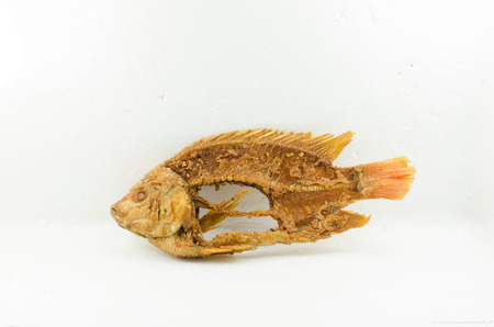 Skeleton of fish - symbol for food shortage and misery. Isolated on white background.の写真素材