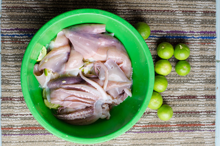 isolated fresh octopusの写真素材