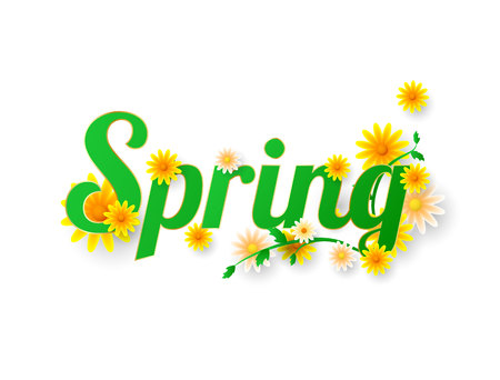 Spring sale background banner with beautiful colorful flower. Vector illustration.のイラスト素材