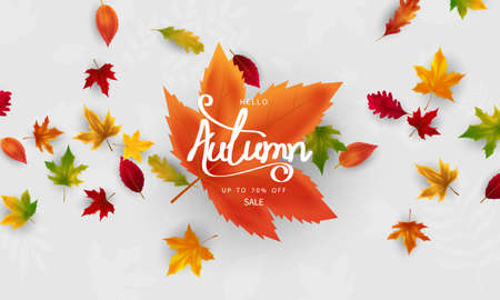 Autumn falling leaves background  Vector template.のイラスト素材