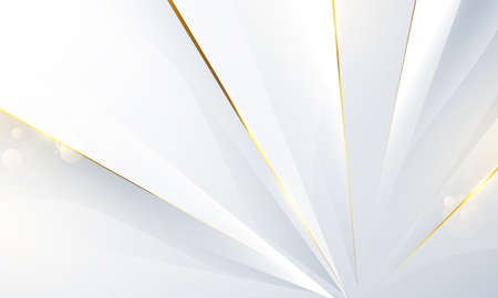 Abstract white and gray background with gorgeous golden line decoration.のイラスト素材