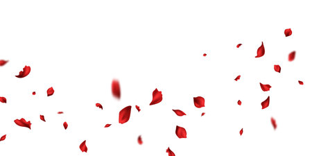 Red rose petals will fall on abstract floral background with gorgeous rose petal greeting card design.のイラスト素材
