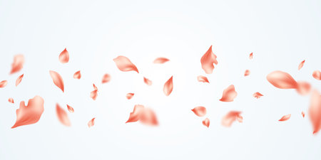 Pastel orange petals falling on abstract floral background with beautiful petal greeting card design. Vector illustrationのイラスト素材