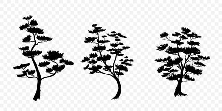 Conceptual tree background design. Black Chinese ink. Vector illustration.のイラスト素材