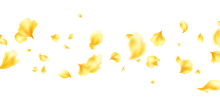 Pastel yellow flower petals falling on abstract floral background with beautiful petal greeting card design. Vector illustrationのイラスト素材