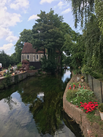 Pretty garden in England