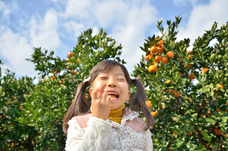 Girls enjoy picking orangesの写真素材