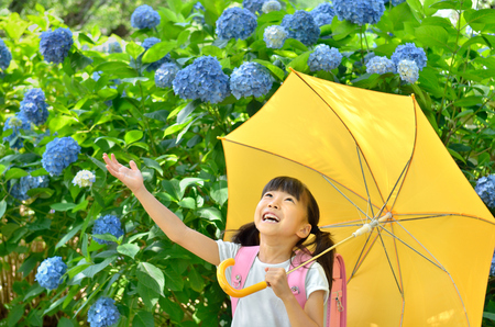 Elementary school students put up an umbrella girls rainy seasonの写真素材