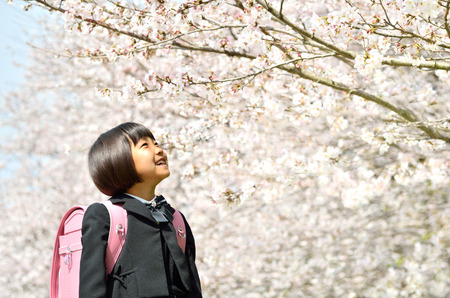 New girl cherryの写真素材