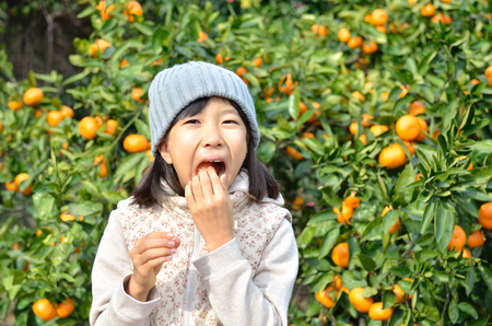 Girls enjoy picking orangesの写真素材