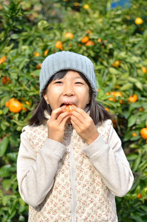 Girls enjoy picking orangesの写真素材
