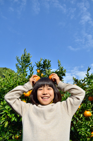 Girls enjoy picking orangesの写真素材