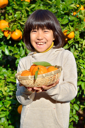 Girls enjoy picking orangesの写真素材