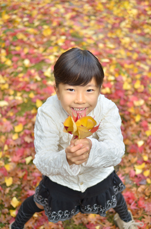 Girls enjoying the autumn leavesの写真素材