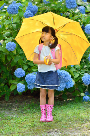 Hydrangea and elementary school girlsの写真素材